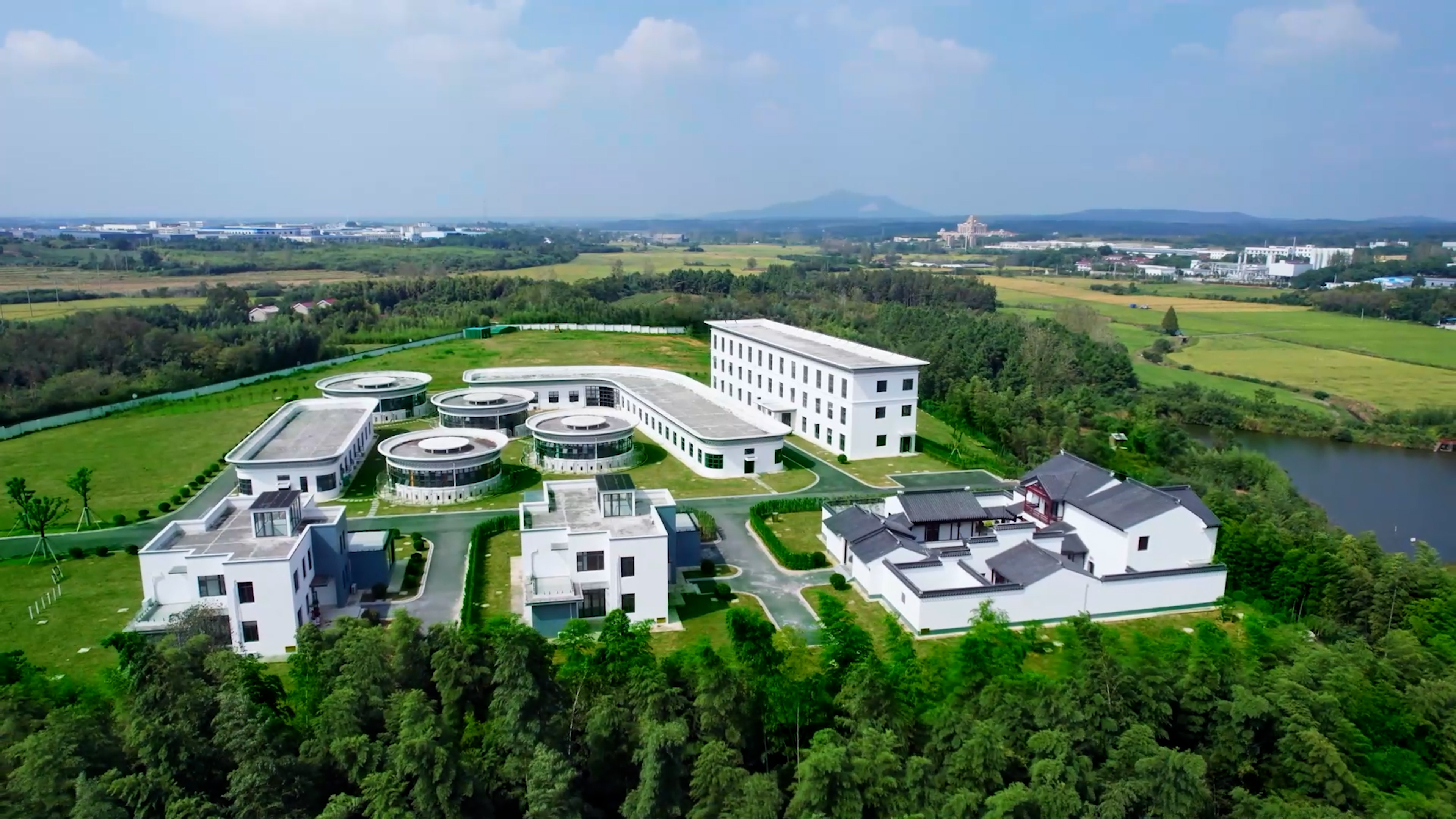 中国首个获批实验动物使用许可的宠物食品公司！福贝宠食引领行业科研规范化进程